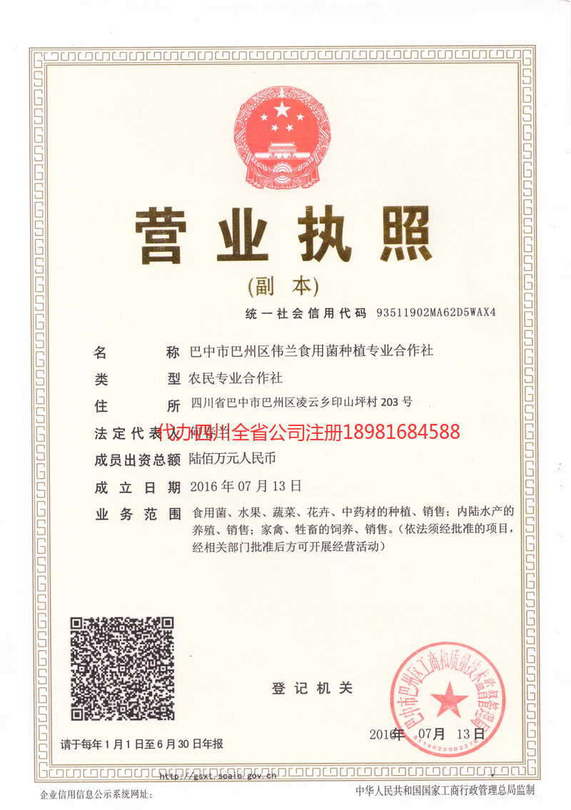 丹阳丹阳伟兰食用菌种植专业合作社